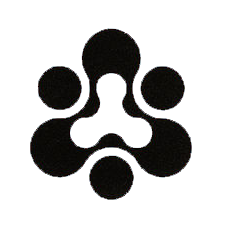 ReplayRise logo